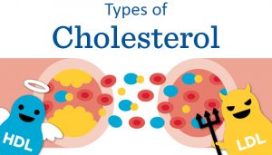 ldl-hdl-cholesterol