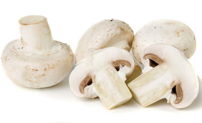 White-Mushroom
