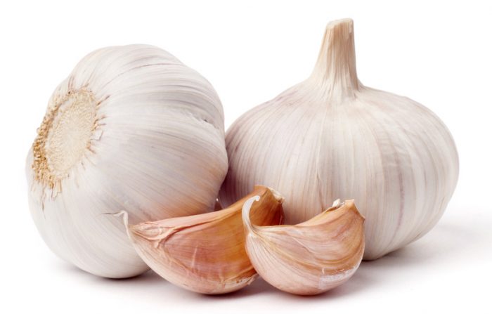 garlic