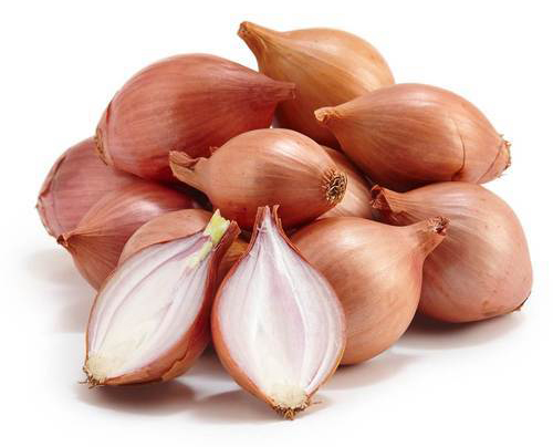 shallot-onion